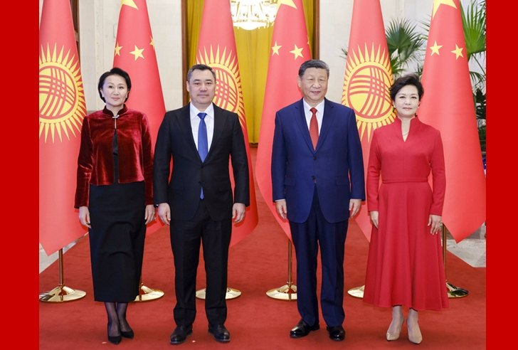 略性与对进