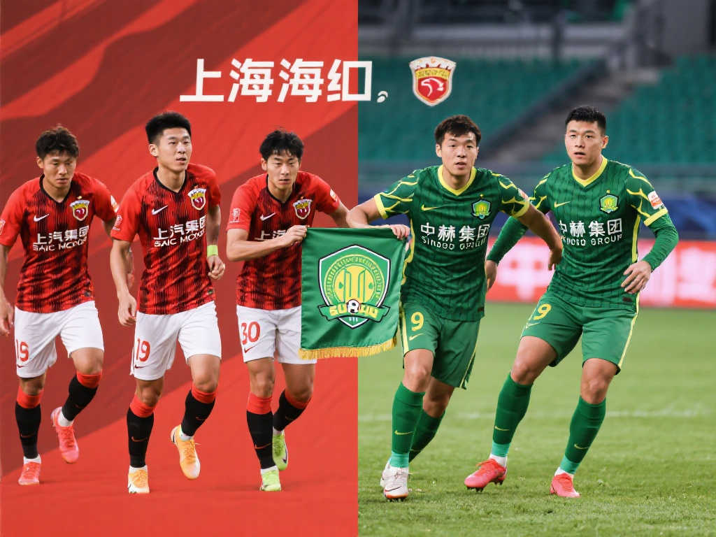 国内赛场上