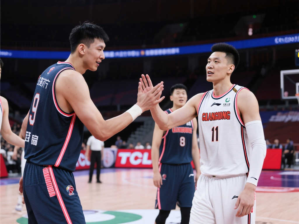 的比赛阶段 的比赛阶段